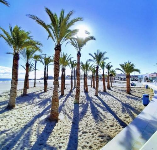 El Arenal 4