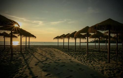 El Arenal 7
